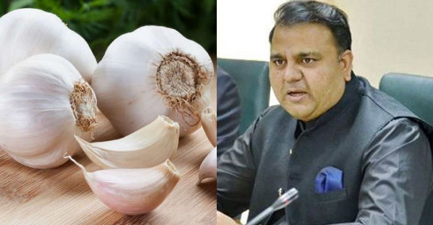 pakministergarlic pakministergarlic