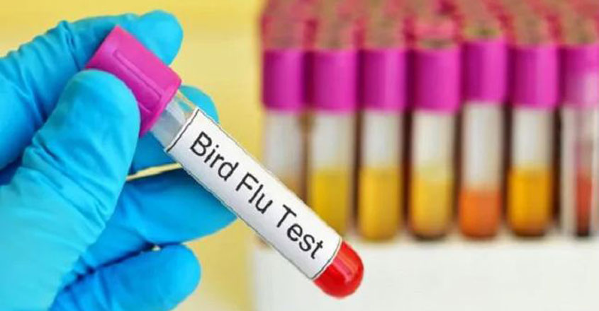 bird-flu