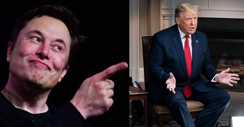 musk-trump