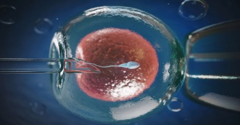 ivf-new
