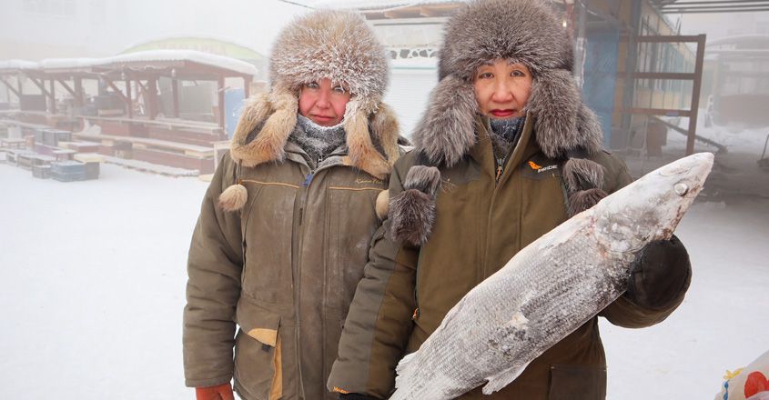 Fish-vendors-Marina-Krivolu