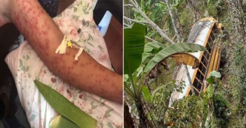 6-people-killed-by-killer-bees-after-bus-crashes-into-hives-in-nicaragua-image-845-440