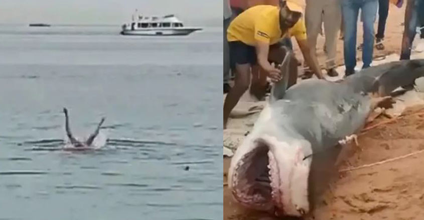 ചിത്രം: Google