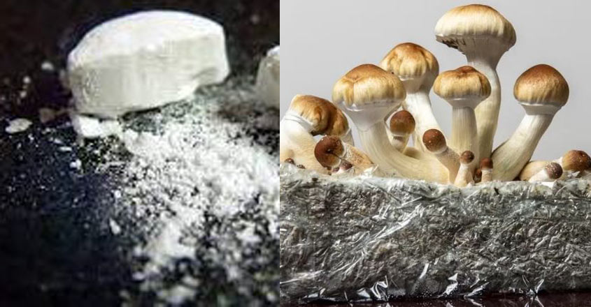 ചിത്രം: Google