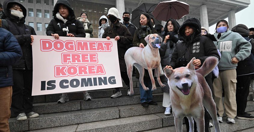 SKOREA-ANIMAL-DOG-RIGHTS