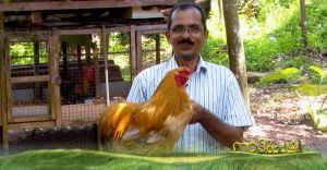  മോഹവിലയിൽ അലങ്കാരക്കോഴിക്കൃഷി