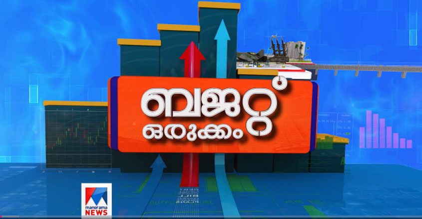 budget-2019 budget-2019