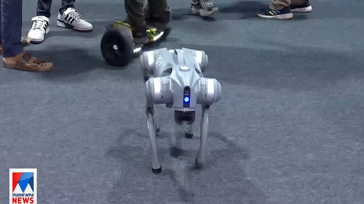 roboverse