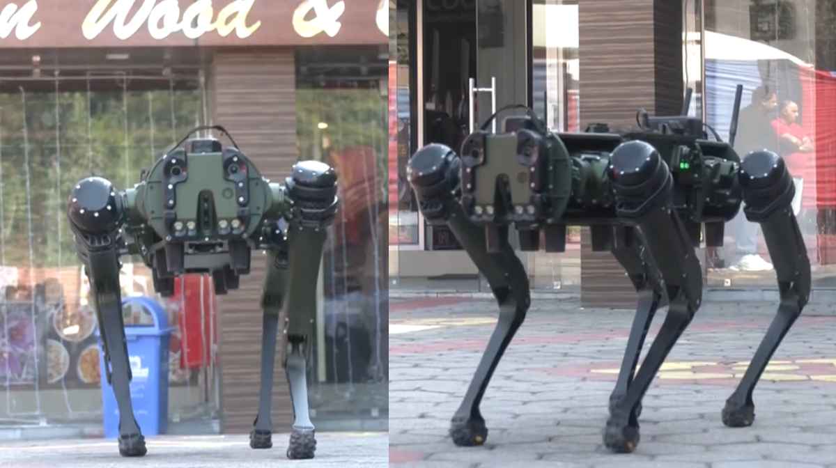 robotic-mule