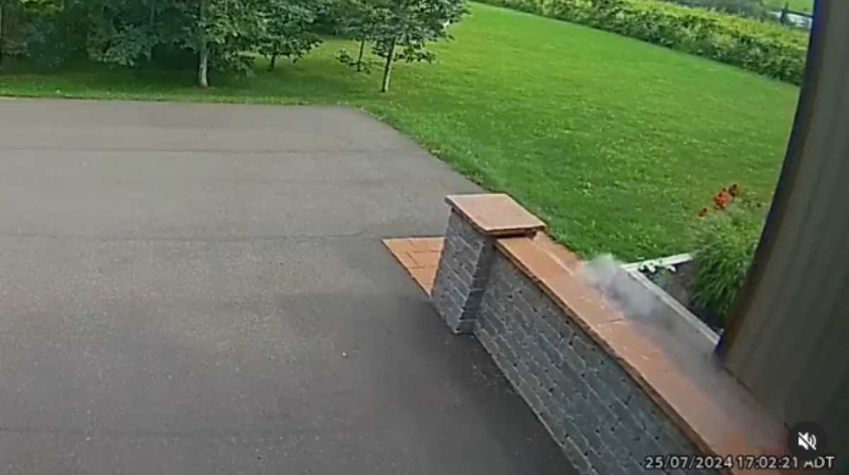 Image Credit: instagram.com/colchrishadfield