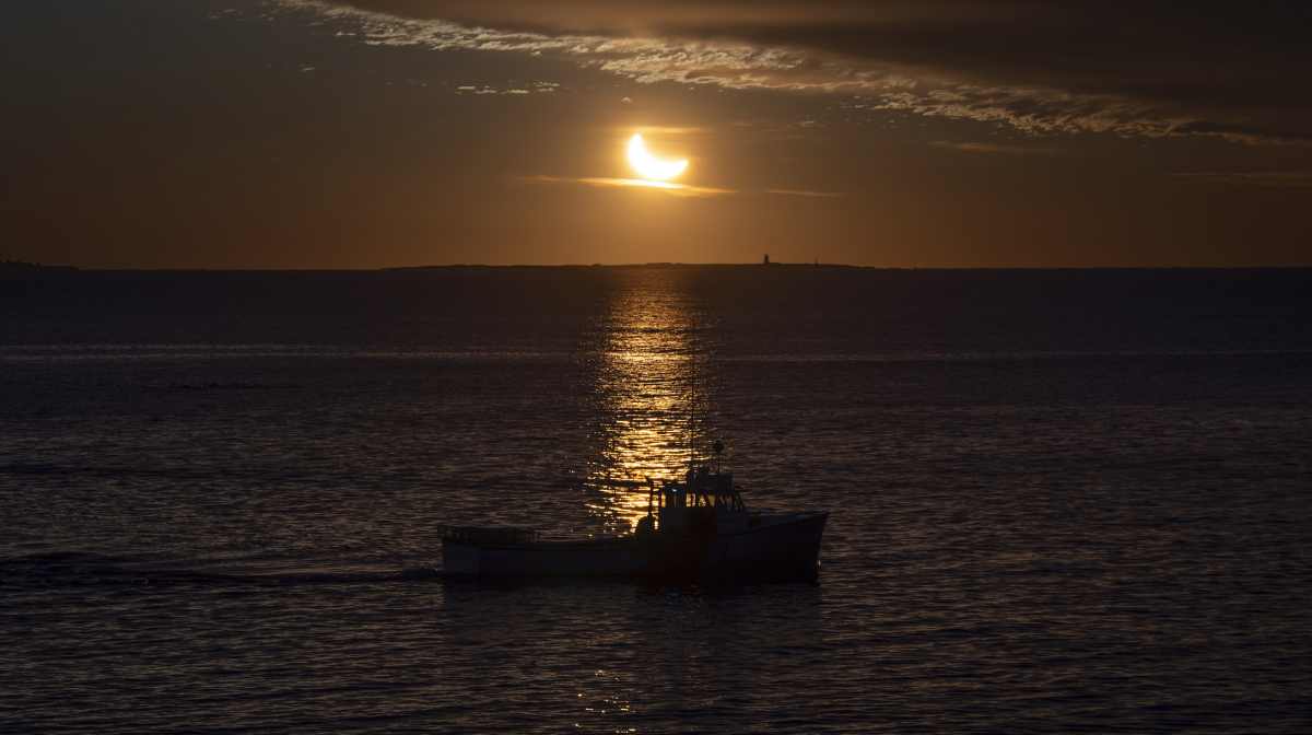 eclipse-halifax