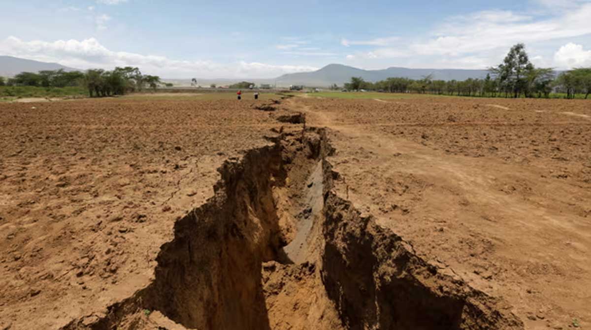 file Image: Thomas Mukoya/Reuters