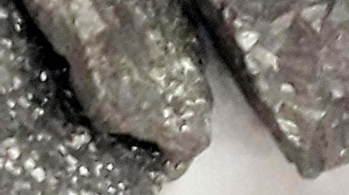 ANI_20210826134