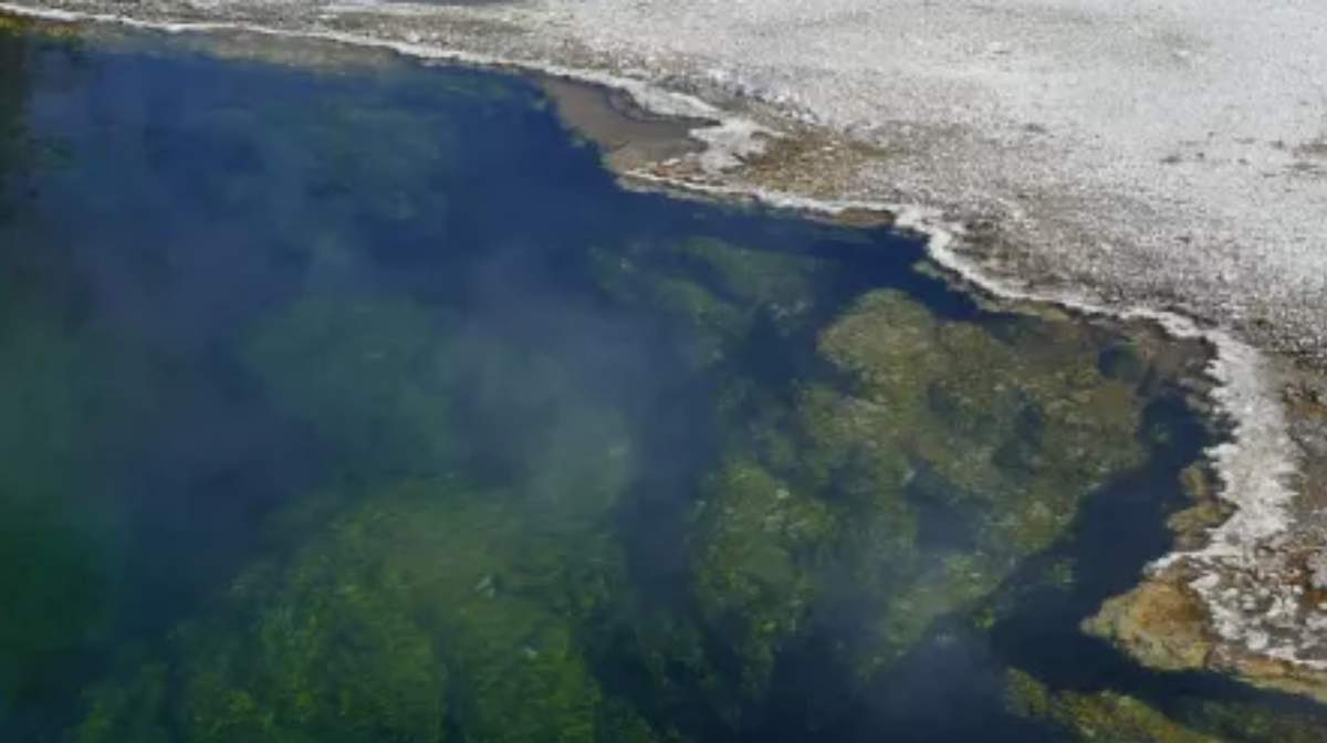 Hot Springs in Yellowstone National Park, Credit: NPS/Diane Renkin
