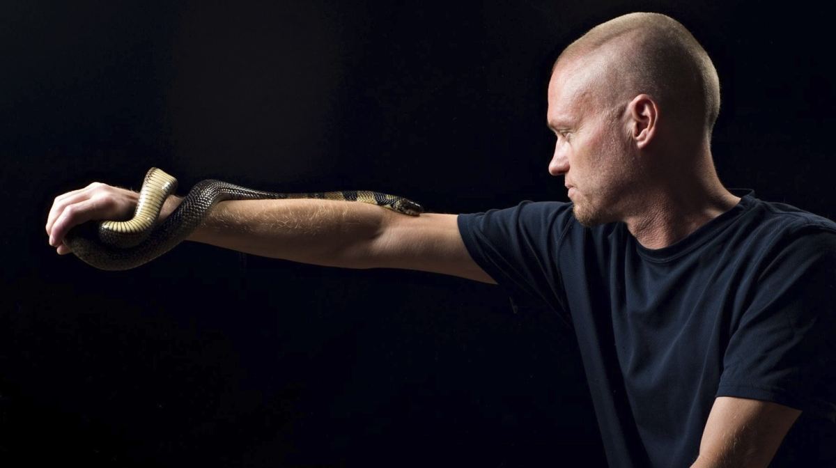 This undated photo provided by Centivax in 2025 shows Tim Friede, who is hyper-immune to the venom of various snakes, with a water cobra wrapped around his arm. (Centivax via AP)