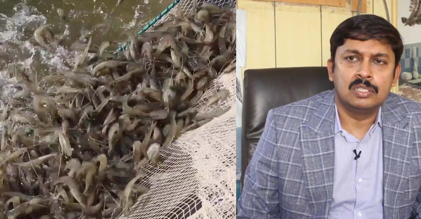 fish-28 fish-28