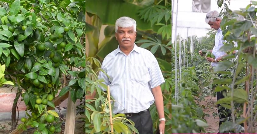 kg-abraham-farming kg-abraham-farming