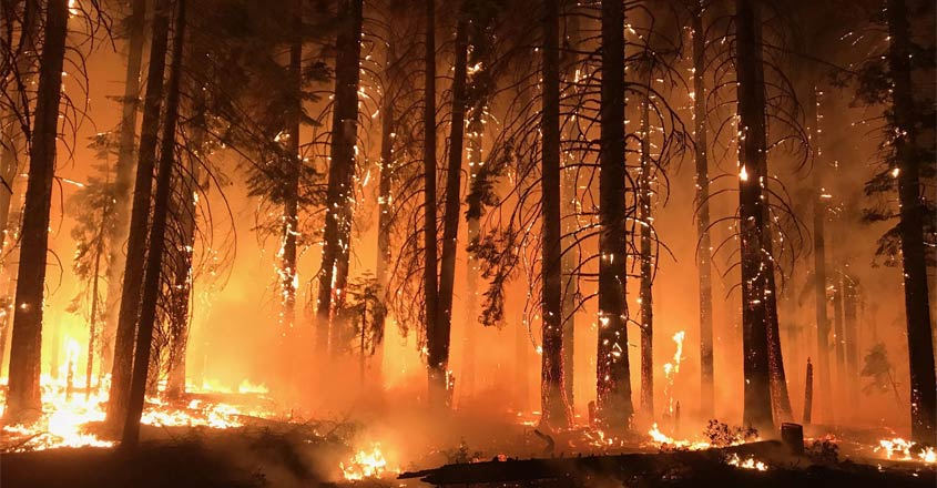 california-fire california-fire