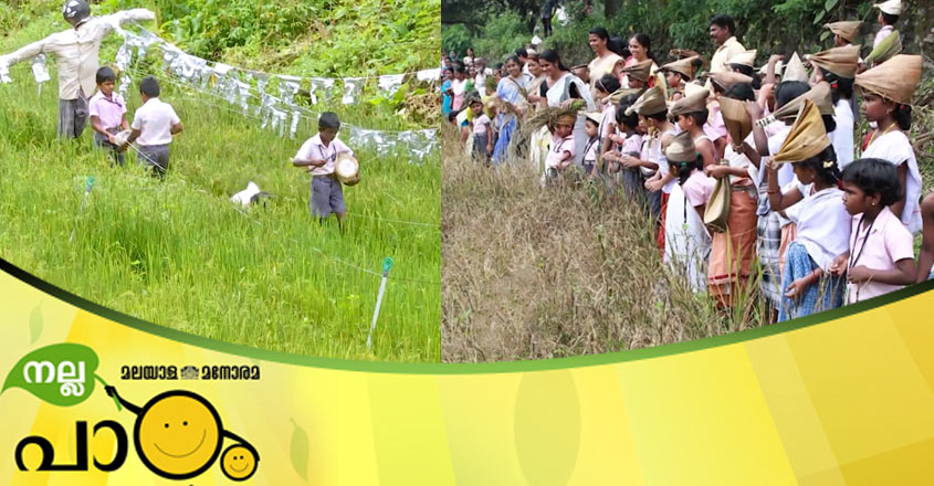 nallappadam-main nallappadam-main