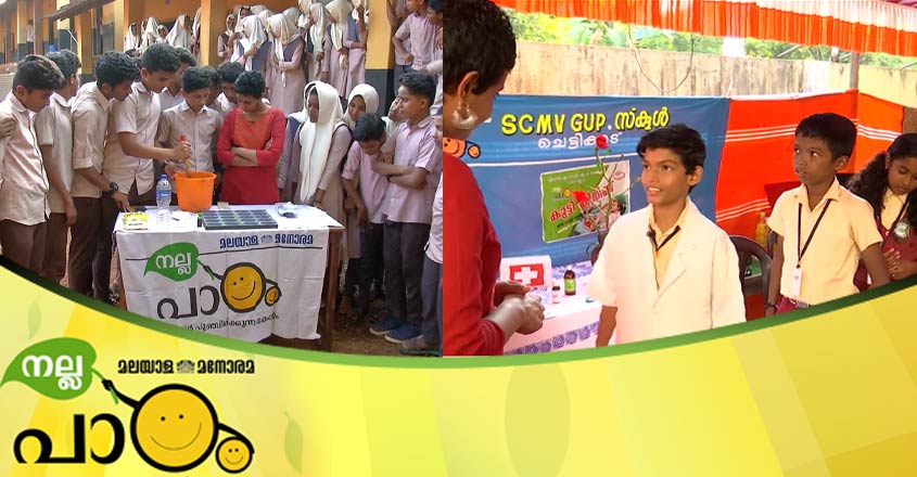 Nallapadam-main Nallapadam-main