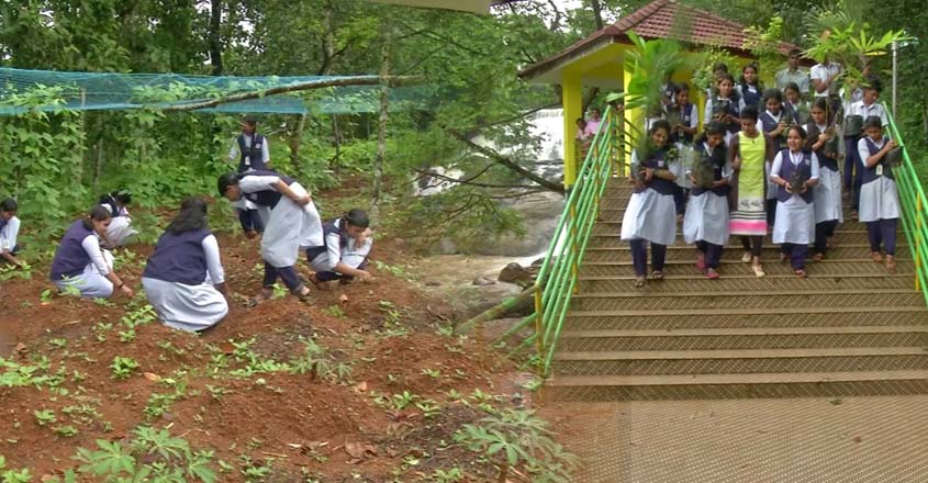 nallapadam-t