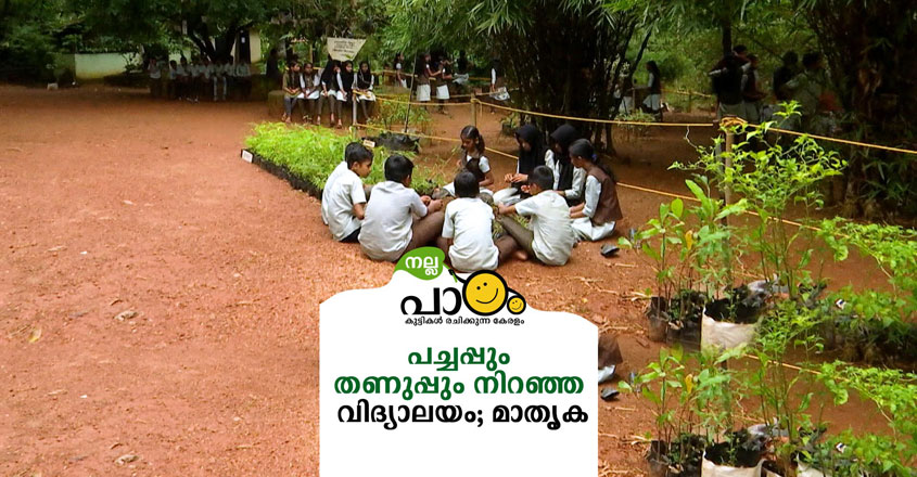 nallapadam-school nallapadam-school