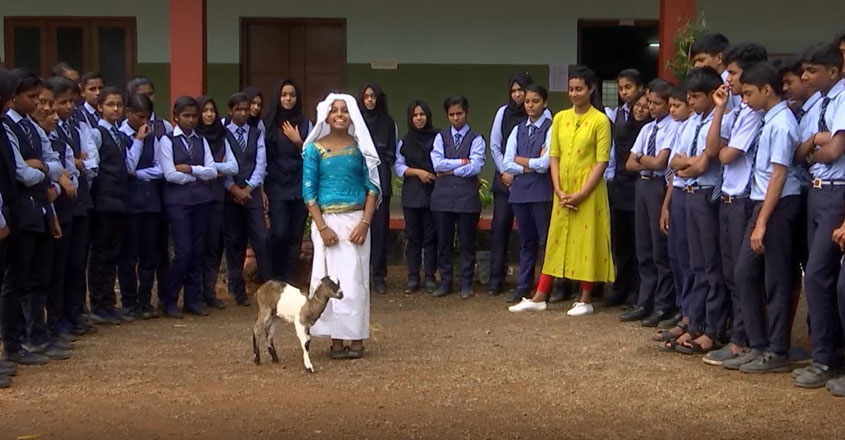 nallapdam nallapdam