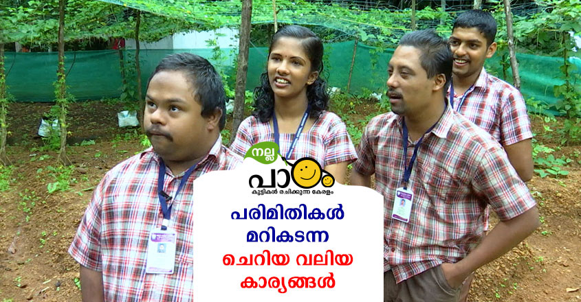 nallapadam