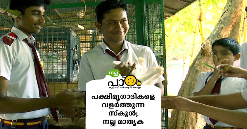nalla-padam