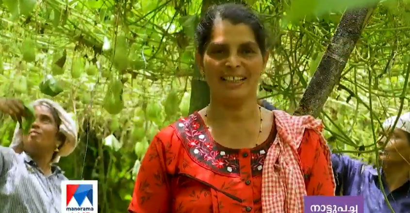 bindu07 bindu07