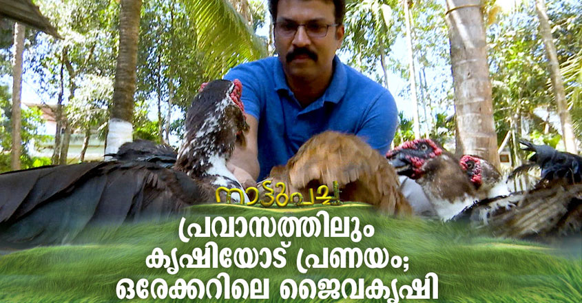 Naattupacha-Thumb-New