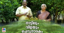 ചെറുനാരങ്ങാ വിളവിന്റെ വിജയവഴികൾ; ആയുർവേദ ഡോക്ടറുടെ കാർഷികതന്ത്രങ്ങൾ ചെറുനാരങ്ങാ വിളവിന്റെ വിജയവഴികൾ; ആയുർവേദ ഡോക്ടറുടെ കാർഷികതന്ത്രങ്ങൾ