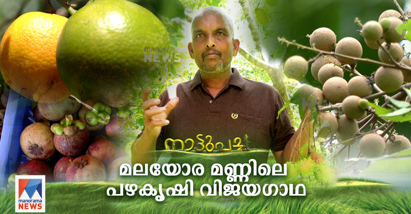 Naattupacha-saji-kozhikod