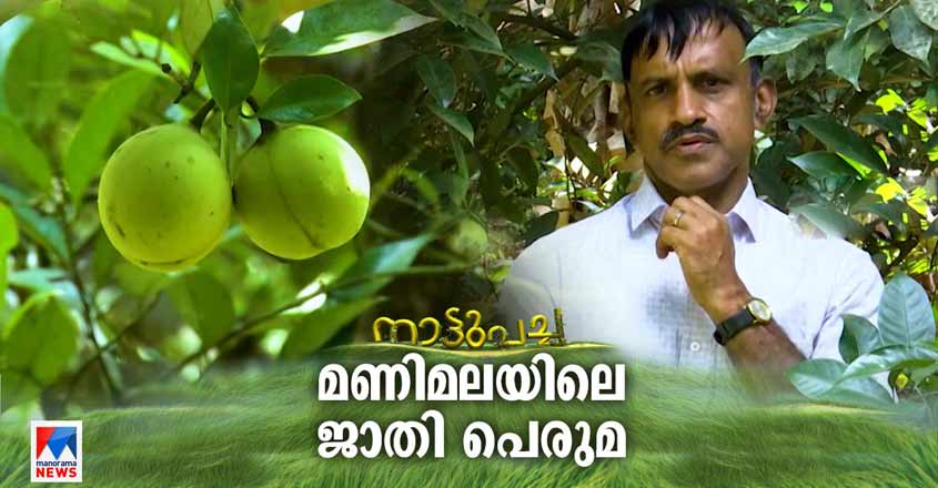 Naattupacha-HD-Jaathi