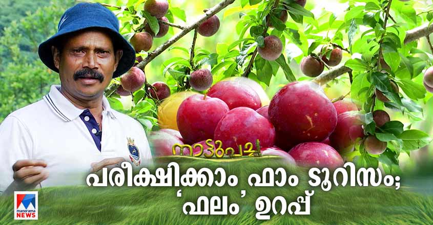 Naattupacha-farmtourism