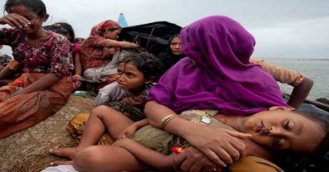 rohingya-refugees