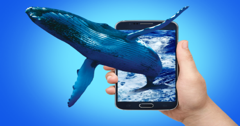 bluewhale-hunt